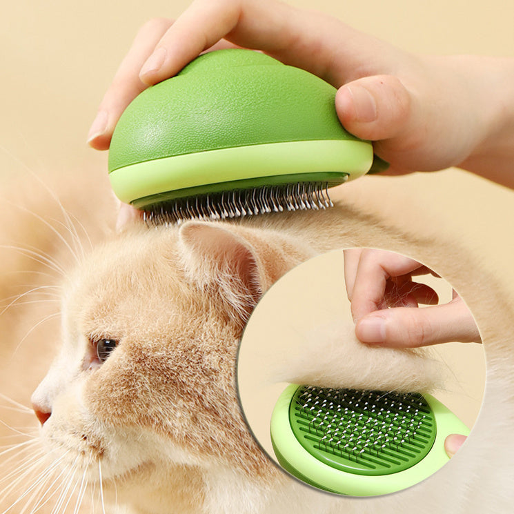 Pawsh Grooming