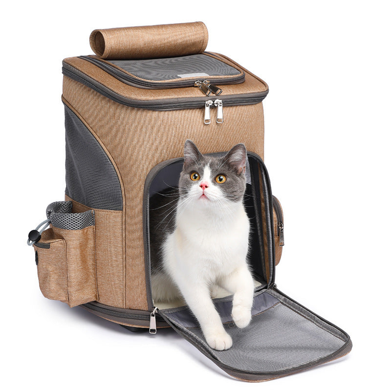 Pawsh Voyages