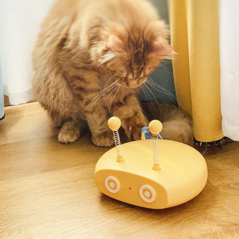 Playtime Paradise