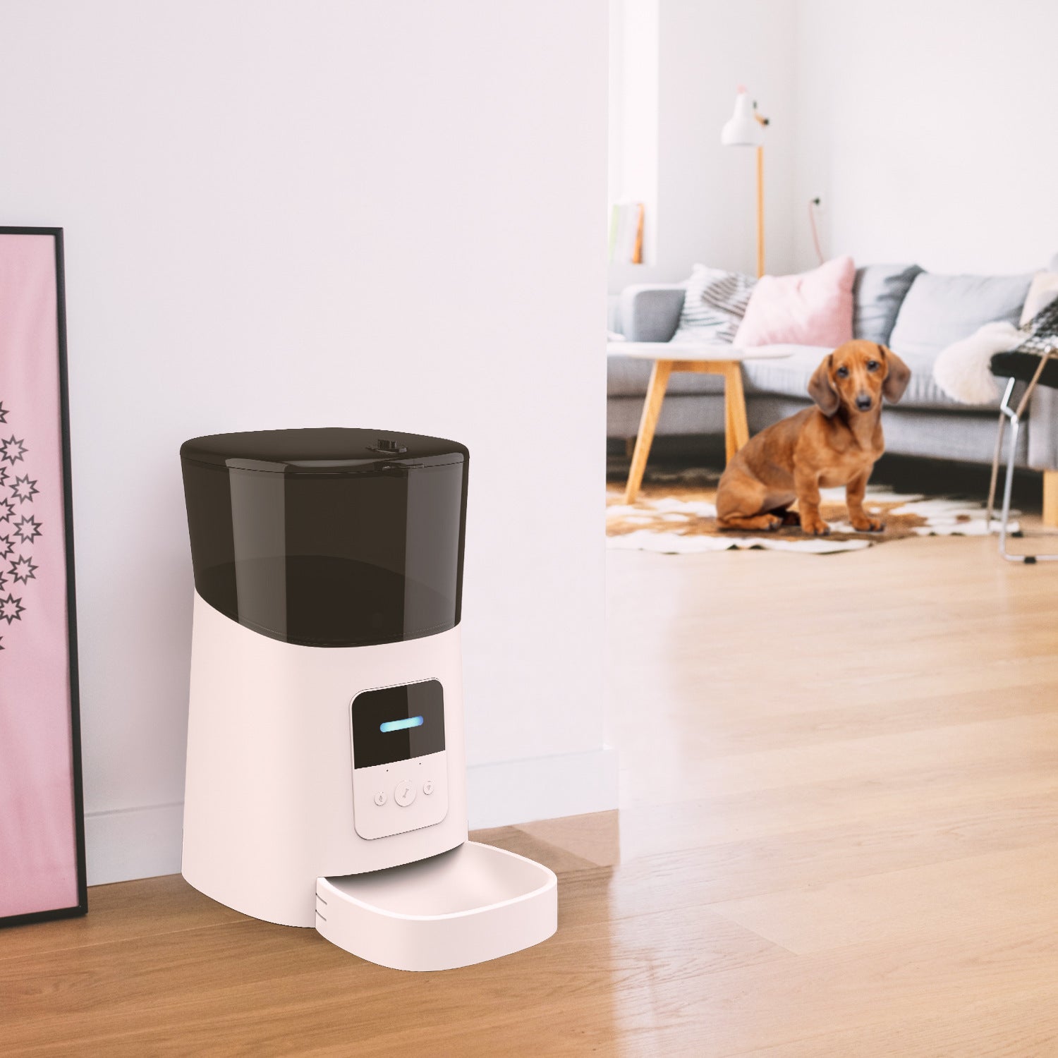 Pet Tech & Safety