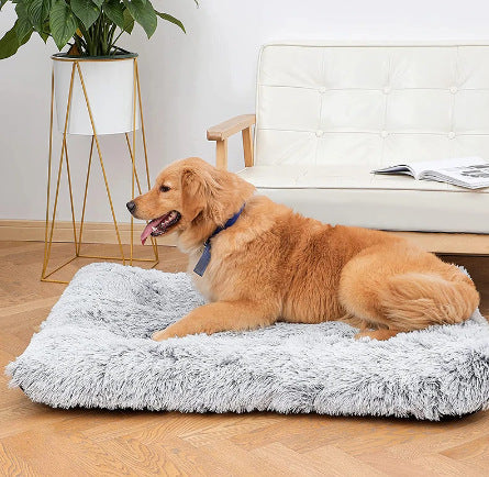 Comfy Memory Foam Dog Bed for Restful Nights