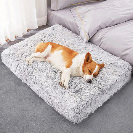 Comfy Memory Foam Dog Bed for Restful Nights