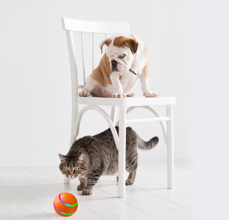 Self-Rotating Cat Ball Toy for Endless Fun