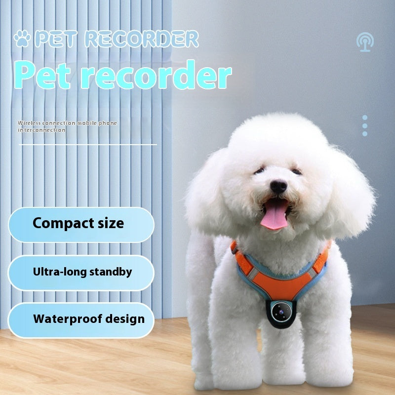 Dog and Cat Action Camera Collar for Fun Moments