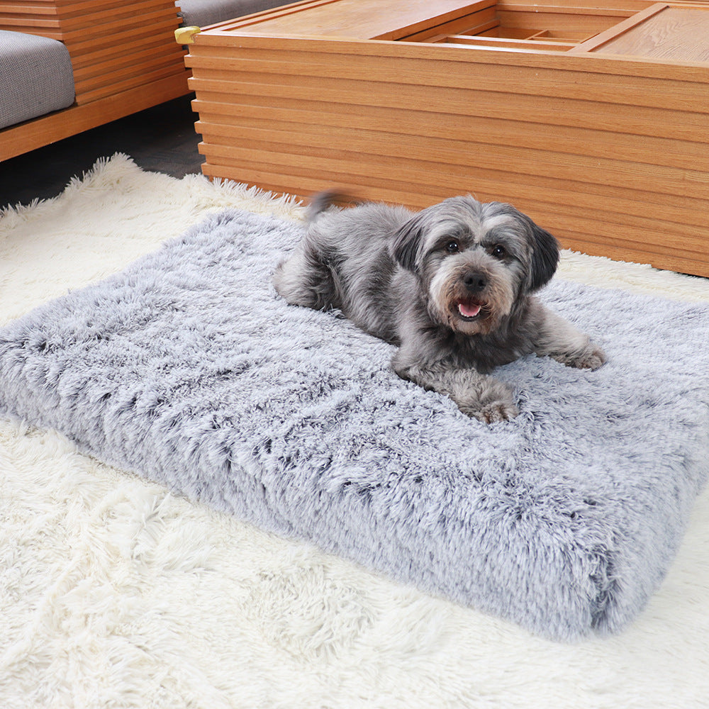 Comfy Memory Foam Dog Bed for Restful Nights