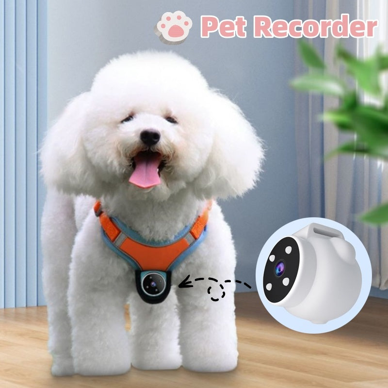 Dog and Cat Action Camera Collar for Fun Moments