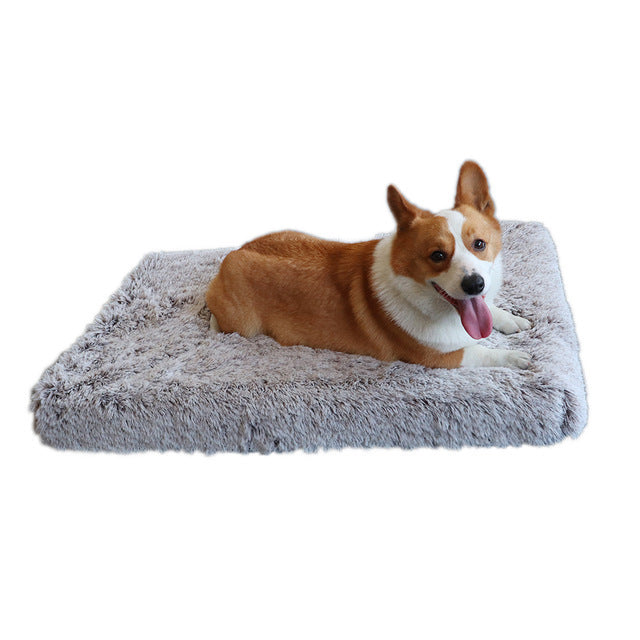 Comfy Memory Foam Dog Bed for Restful Nights