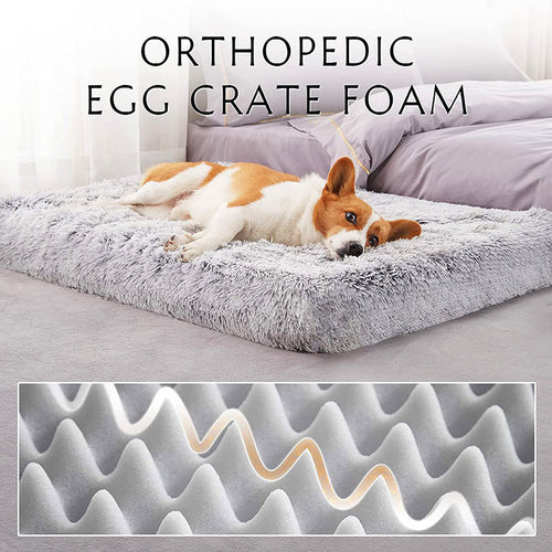 Comfy Memory Foam Dog Bed for Restful Nights